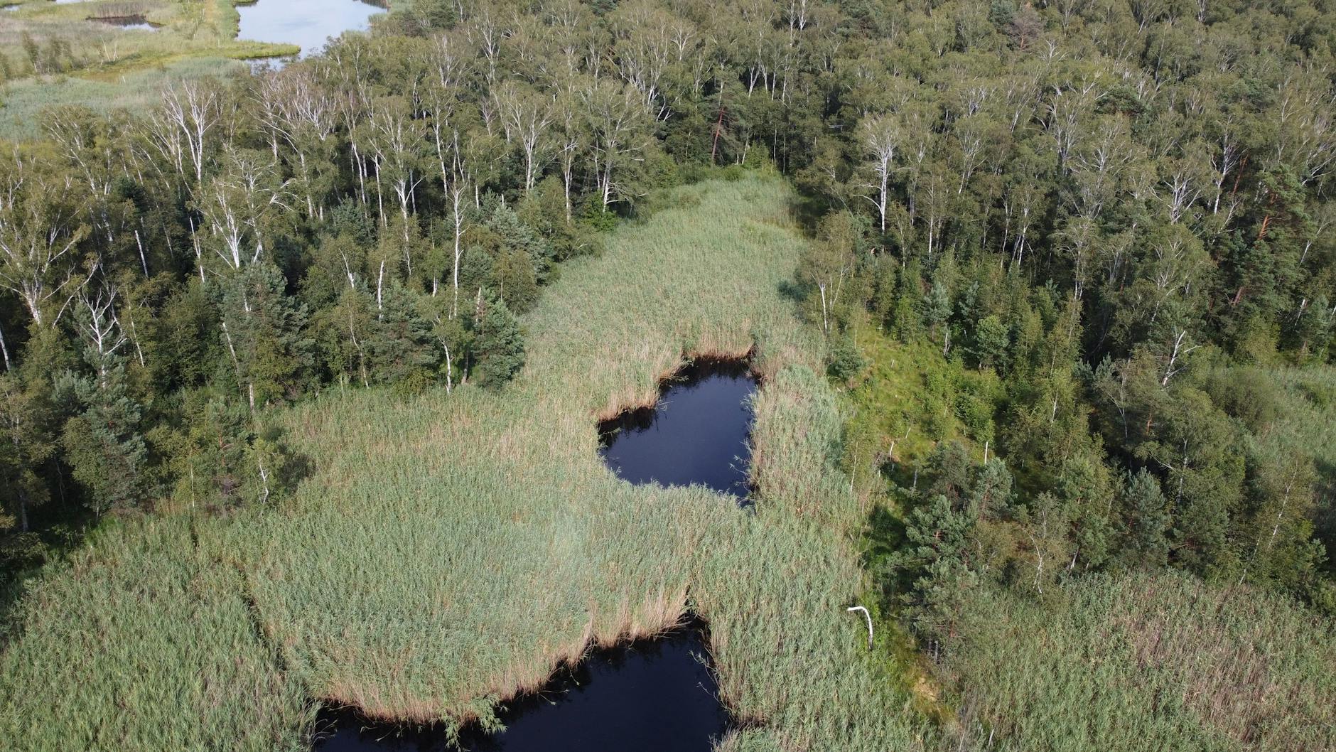 Moda czeka na Ciebie! Polskie marki rekrutują w Marki