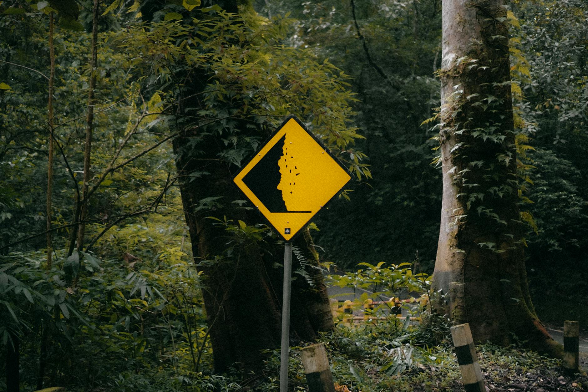 Logo Podlaskiej Marki Roku i zdjęcie laureatów - symbol sukcesu lokalnych firm
