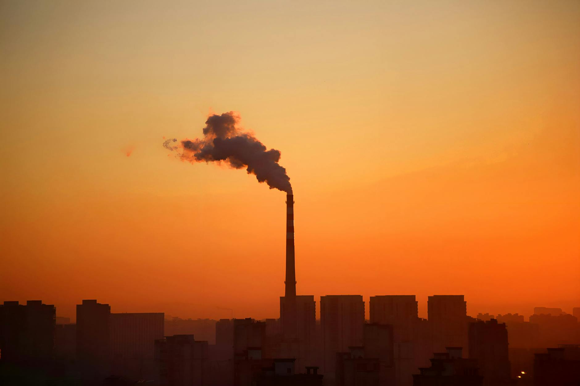Marki na celowniku: Smog i licytacje – co się dzieje?